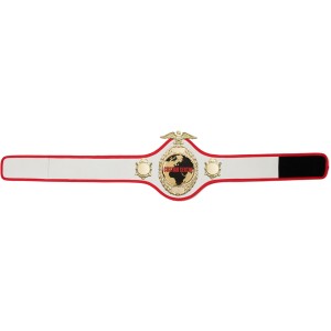 GOLD PRO288 CUSTOM CHAMPIONSHIP BELT  ***BEST SELLER***